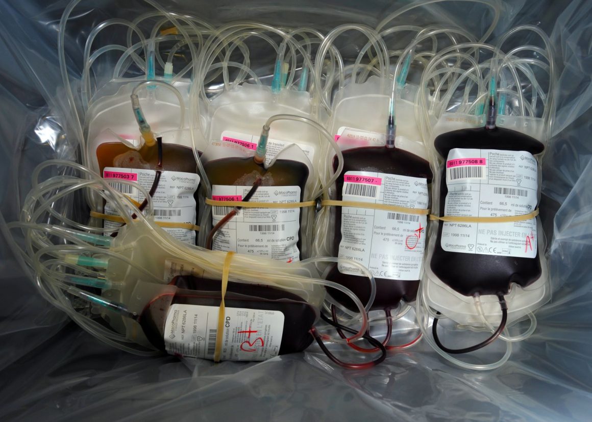 Nove Hospitais do SNS vão Avançar com Projetos de Redução de Transfusões de Sangue