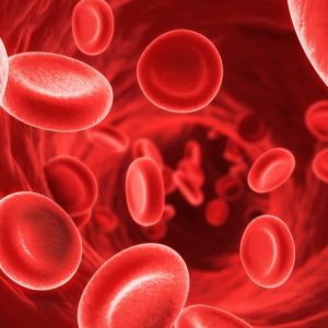 Anemia afecta vida sexual dos doentes