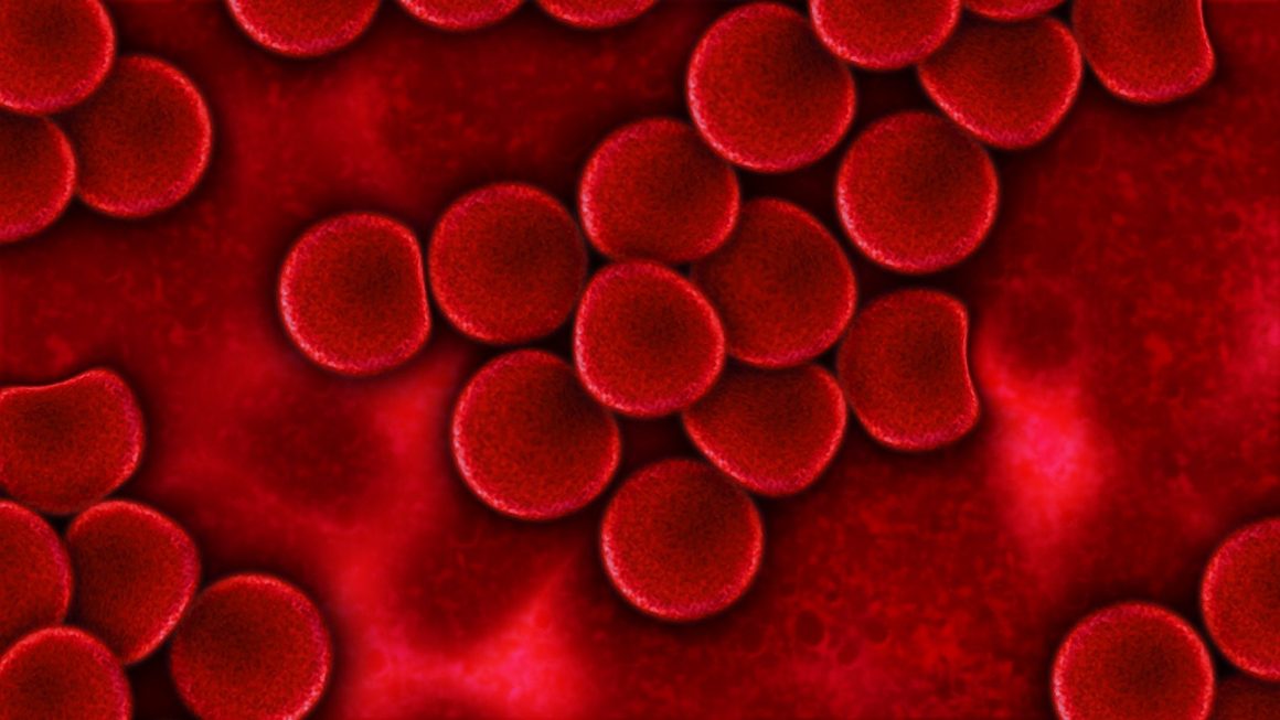Aplicação desenvolvida em Portugal ajuda a identificar sintomas da anemia