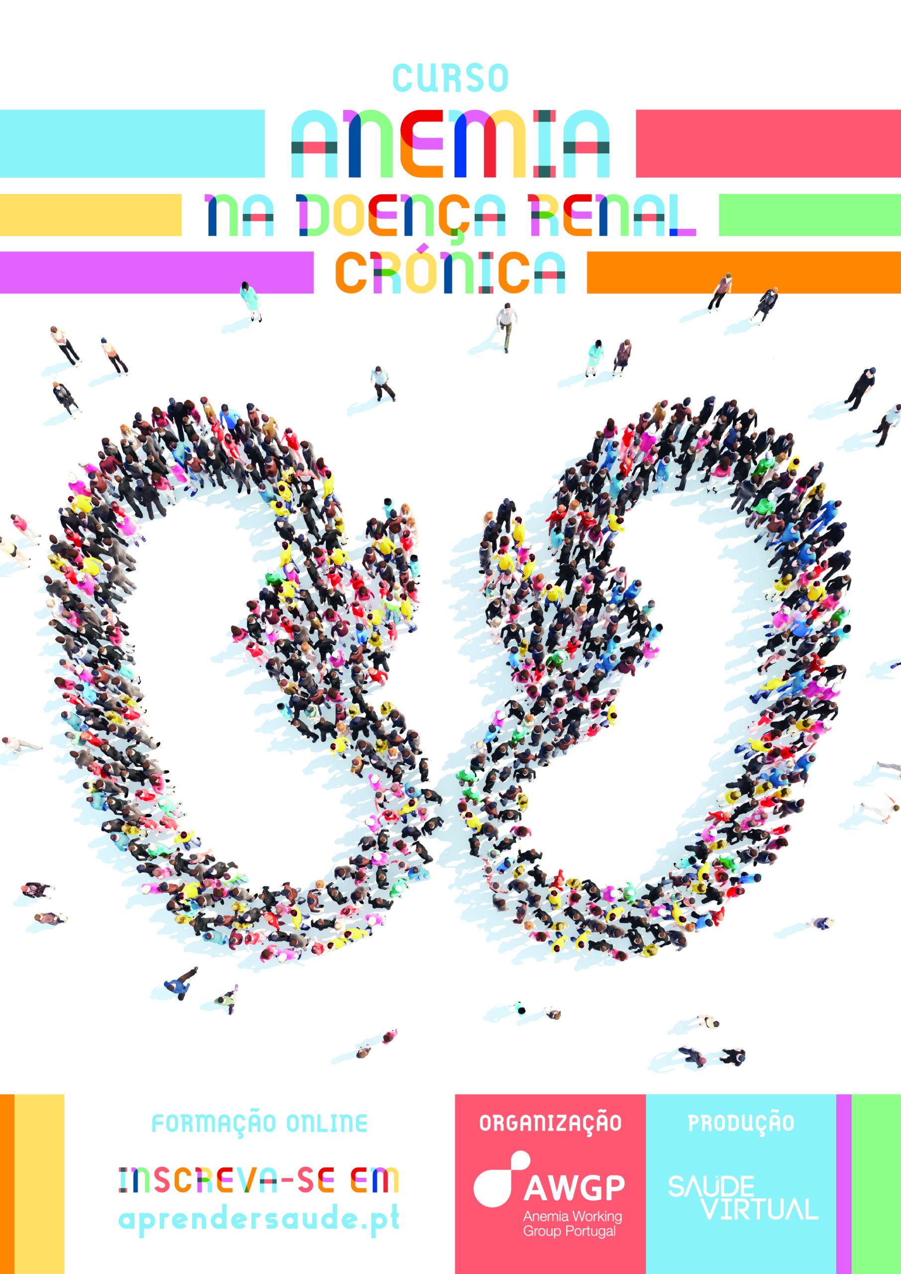 CURSO ONLINE – ANEMIA na Doença Renal Crónica CURSO ONLINE – ANEMIA na Doença Renal Crónica